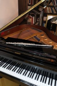 Read more about the article Piano Moving